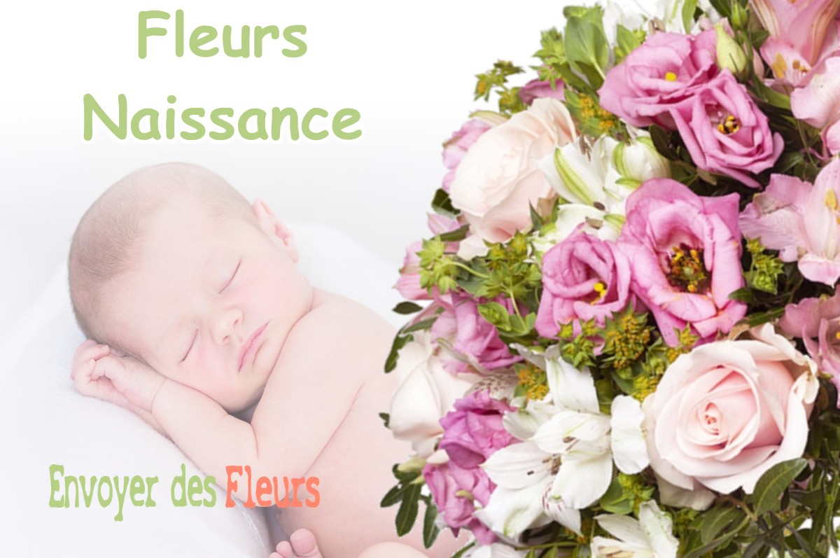 lIVRAISON FLEURS NAISSANCE à LOUBIGNE